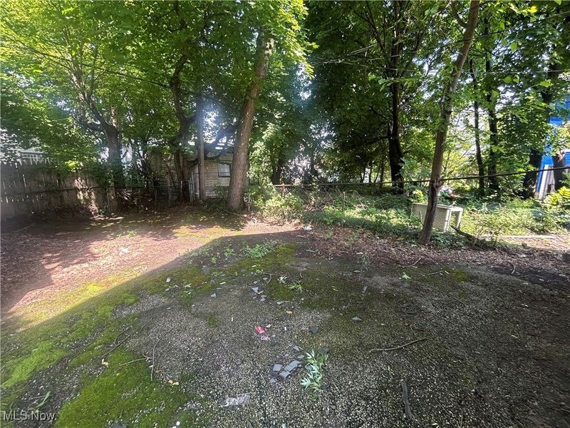 3568 E 114th Street, Cleveland, OH 44105 Photo 37