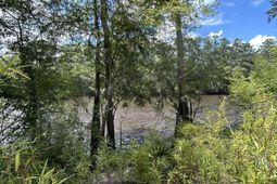 00 Shad Lane photo 4