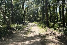 00 Shad Lane photo 4