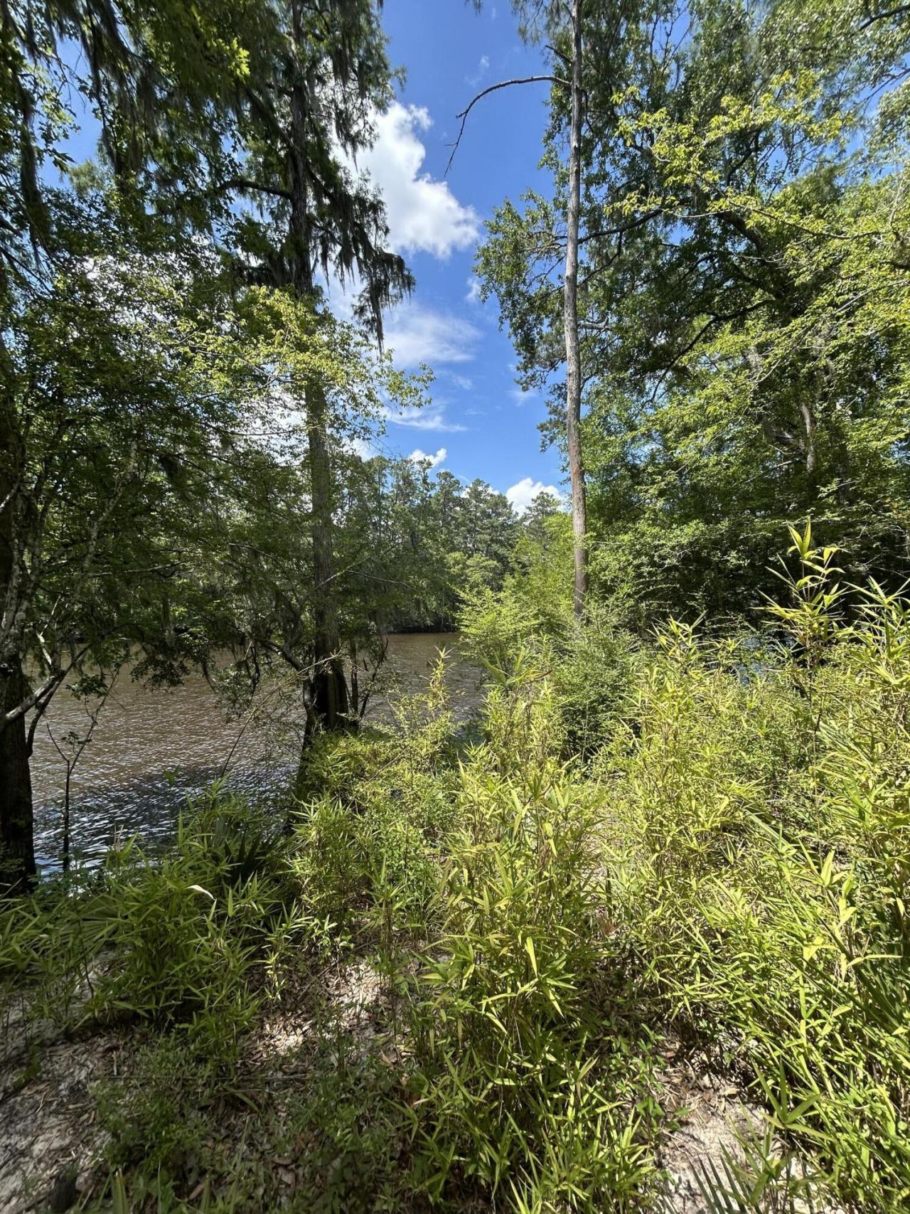 00 Shad Lane Photo 4