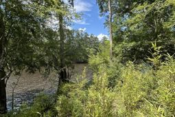 00 Shad Lane photo 4