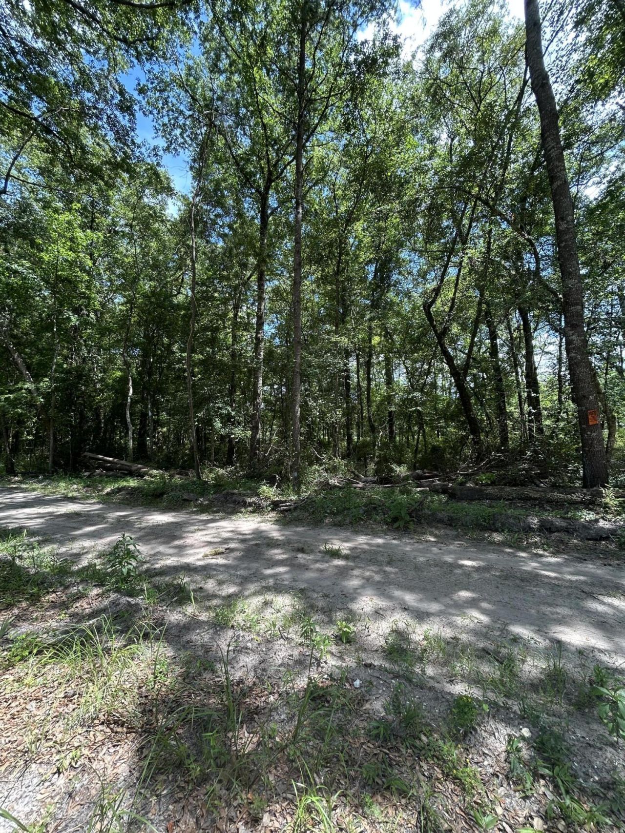 00 Shad Lane Photo 5