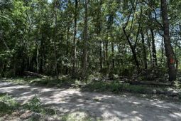 00 Shad Lane photo 4