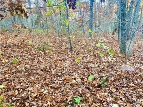 Lot 164 Illinois Lane , Rocky Mount, MO 65072