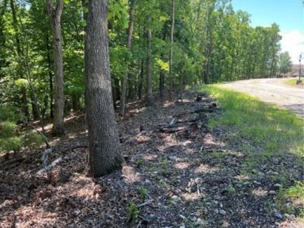 TBD Bluewater Court, Four Seasons, MO 65049