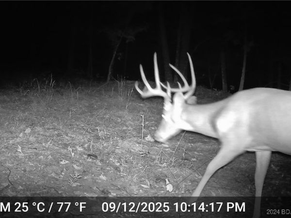 30915 Broken Circle Road, Stover, MO 65078