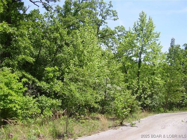 20 Silver Spur Court , Camdenton, MO 65020