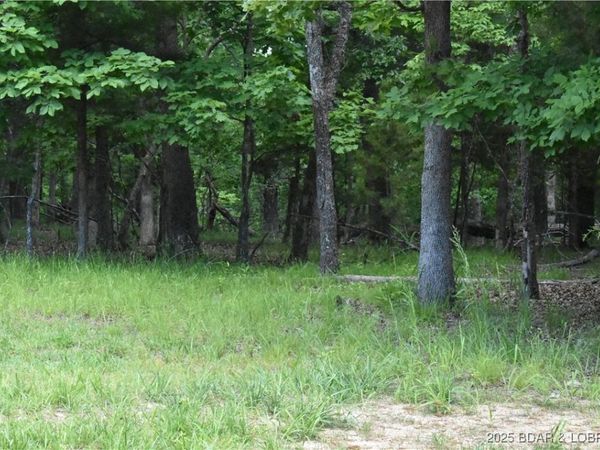 Lot 489 Parker Pt Road, Lake Ozark, MO 65049