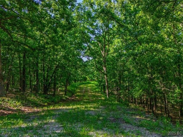 Lot 1169,1143 Elliott Place, Edwards, MO 65329