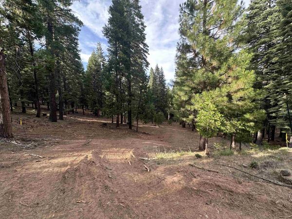 406 Morningside Court, Lake Almanor West, CA 96020