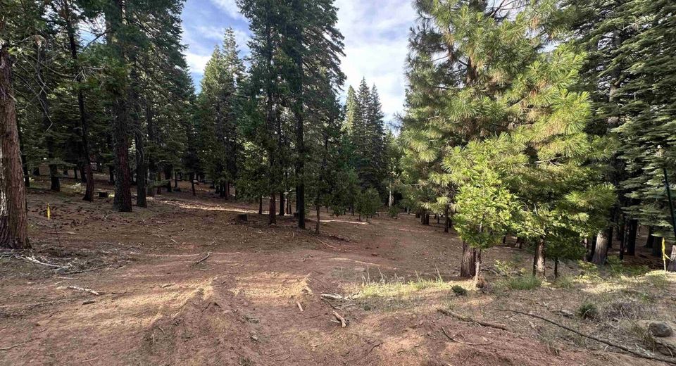 406 Morningside Court, Lake Almanor, CA 96020 Photo