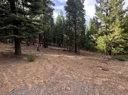 406 Morningside Court, Lake Almanor, CA 96020 Photo