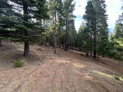 406 Morningside Court, Lake Almanor, CA 96020 Photo