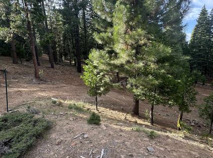 406 Morningside Court, Lake Almanor, CA 96020 Photo