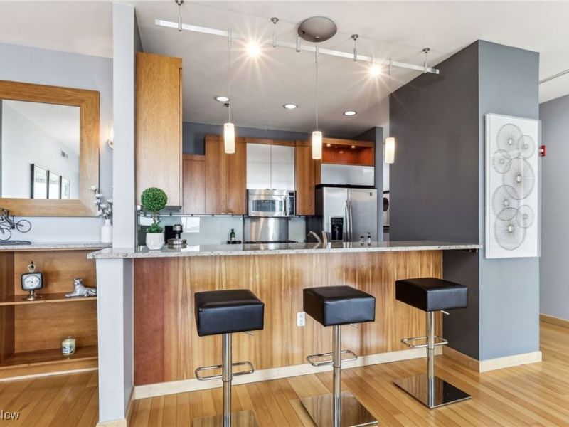 701 W Lakeside Avenue, Unit 1008, Cleveland, OH 44113 Photo 18