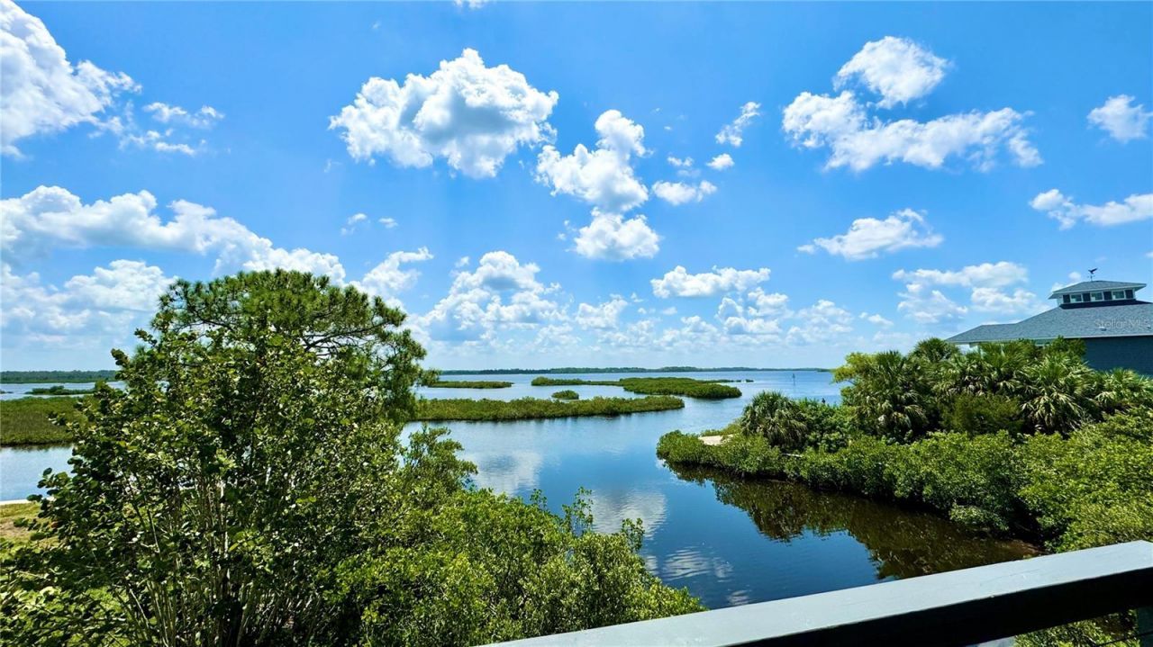 10701 Pine Island Drive, Weeki Wachee, FL 34607 Photo