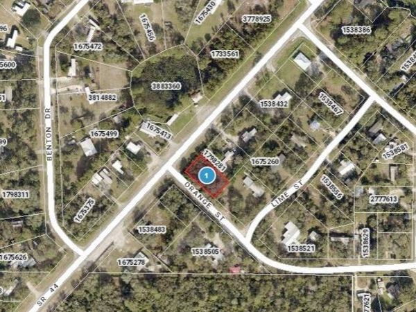 E ORANGE AVENUE, EUSTIS, FL 32726
