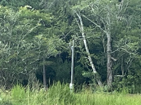 647 Gibson Circle, Hortense, GA 31543