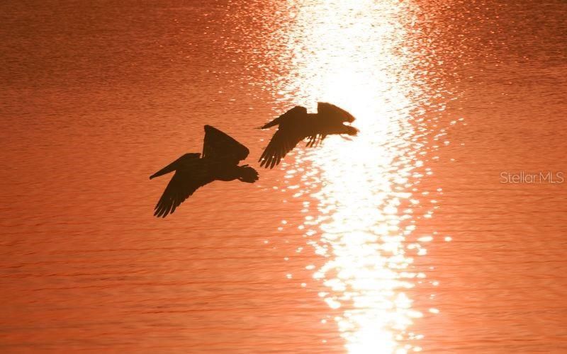 701 Marbury Lane, Longboat Key, FL 34228 Photo