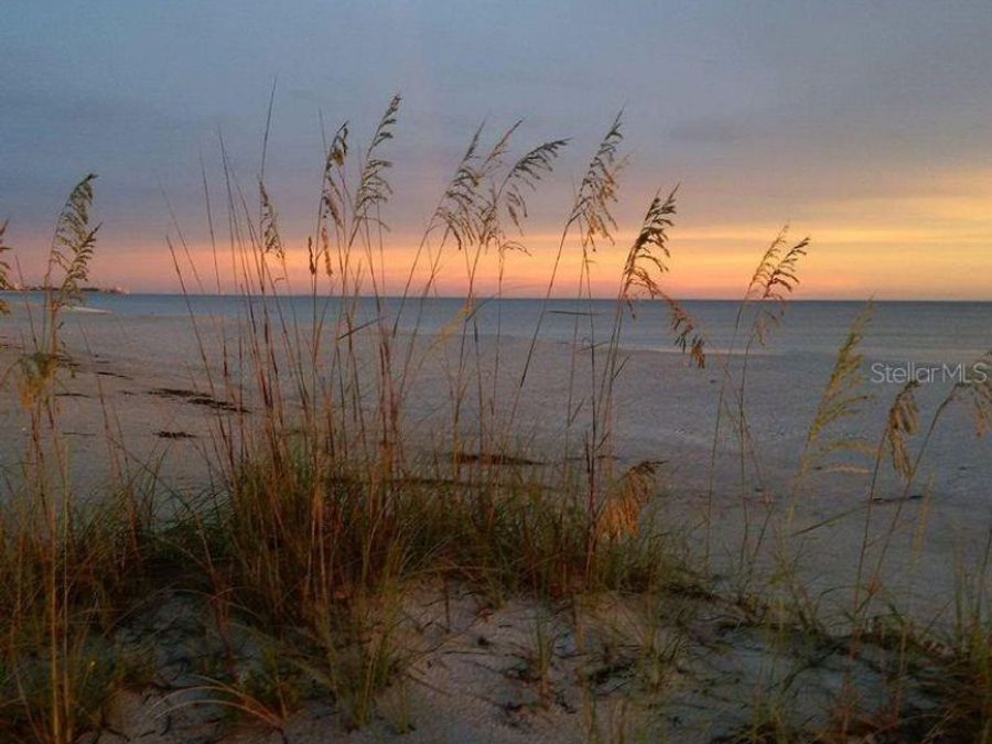 Property Image 75