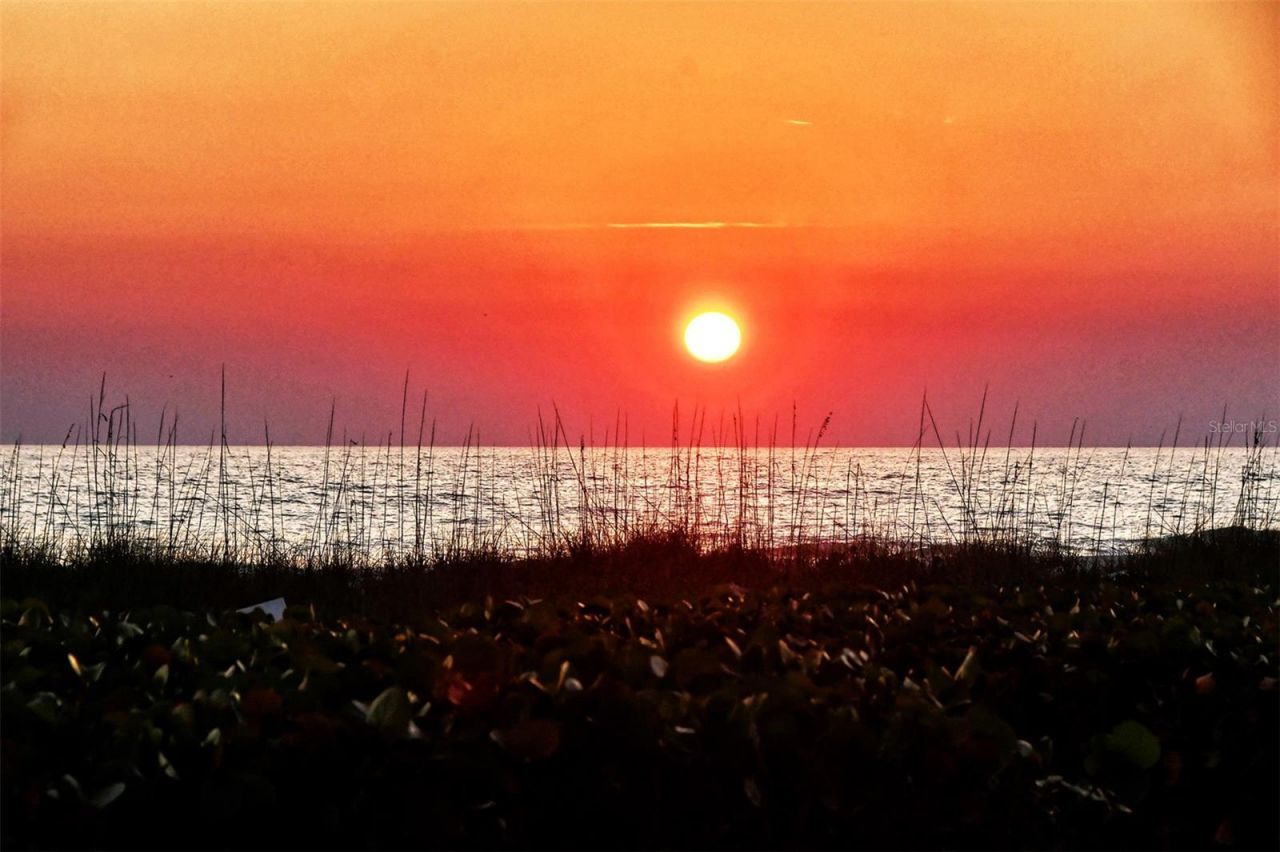 701 Marbury Lane, Longboat Key, FL 34228 Photo