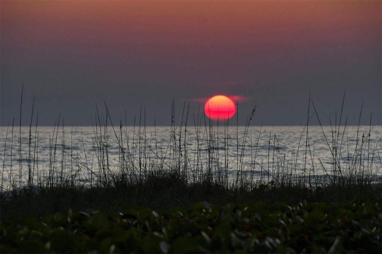 701 Marbury Lane, Longboat Key, FL 34228 Photo