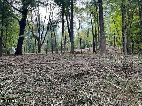 W Hemlock St, LaFollette, TN 37766