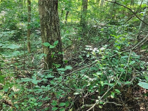 0 Imperial Drive , Cumming, GA 30041