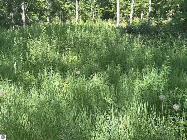 Forward, Lake City, MI 49651