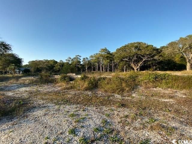 Tbd Jacks Circle Rd. Photo 5