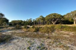 Tbd Jacks Circle Rd. photo 4