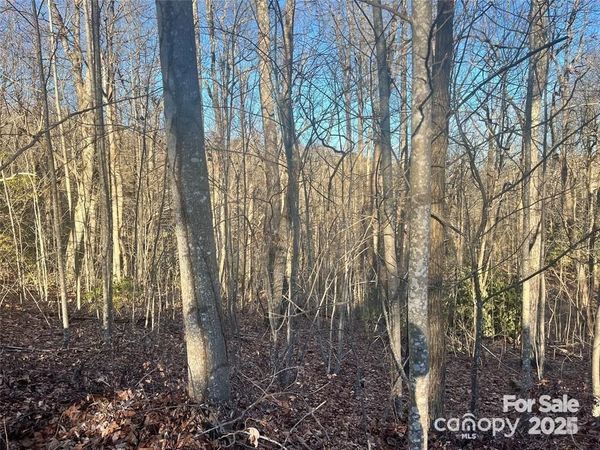 129 Pinnacle Peak Lane, Flat Rock, NC 28731