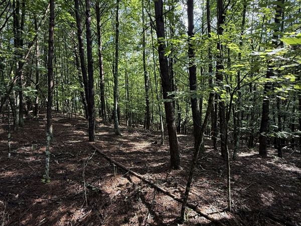 LOT 5 Marci Lane, Sautee Nacoochee, GA 30571