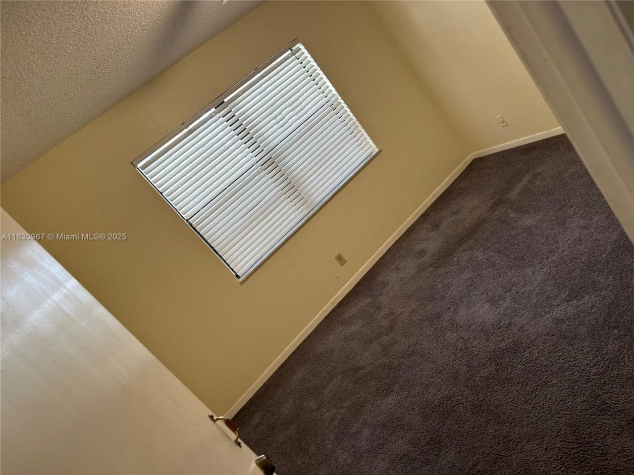 6575 W Oakland Park Blvd, Unit 214, Lauderhill, FL 33313 Photo