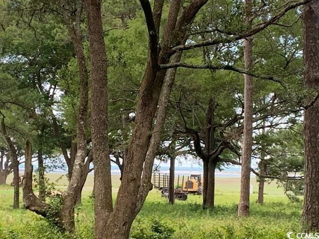 Tbd C Jacks Circle Rd. Photo 4