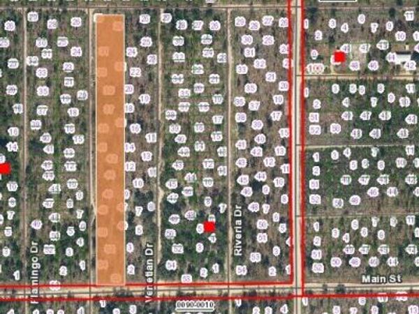 00000 Marshall Drive, Interlachen, FL 32148