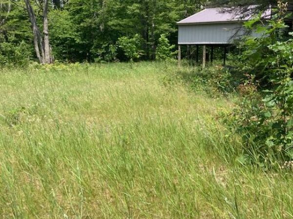 7347 Paradise TRL, Carp Lake, MI 49718