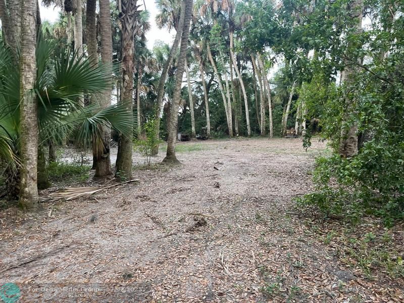 15148 NW 288th St, Okeechobee, FL 34972 Photo