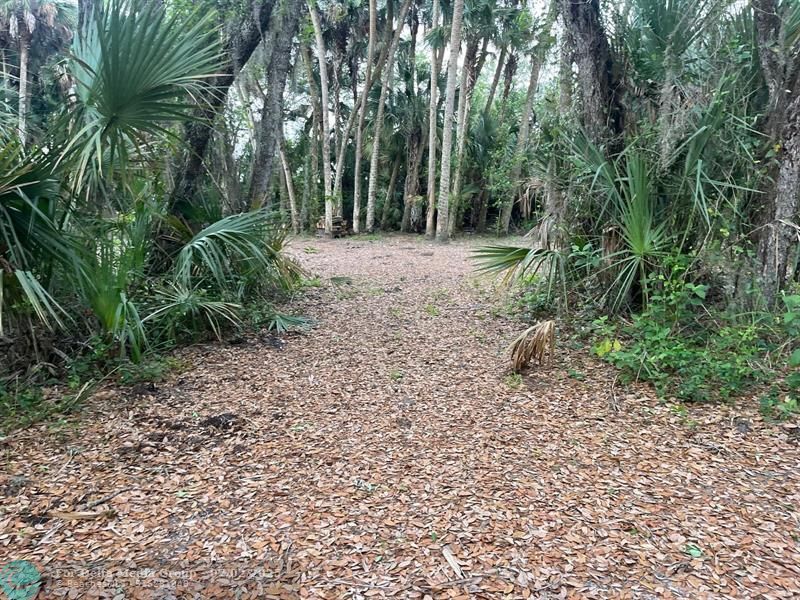 15148 NW 288th St, Okeechobee, FL 34972 Photo