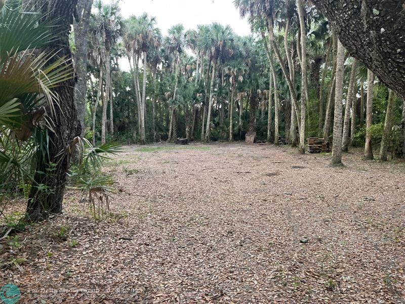 15148 NW 288th St, Okeechobee, FL 34972 Photo