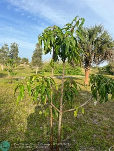 15148 NW 288th St, Okeechobee, FL 34972 Photo