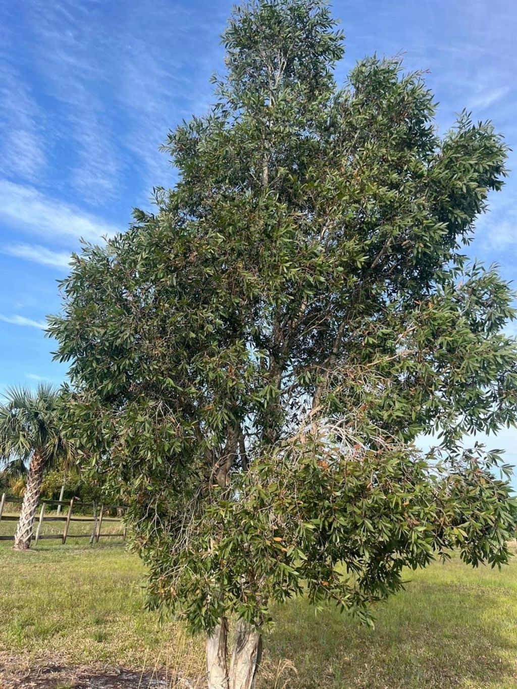 15148 NW 288th Street, Okeechobee, FL 34972 Photo