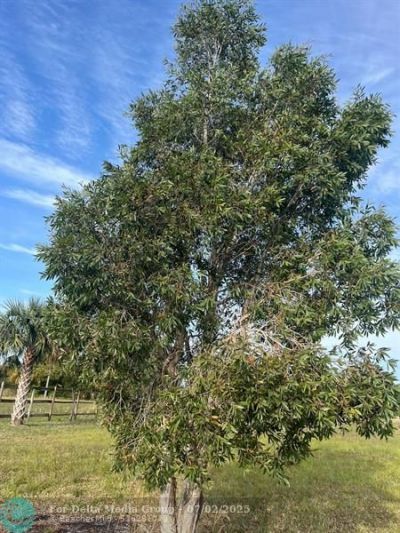 15148 NW 288th St, Okeechobee, FL 34972 Photo