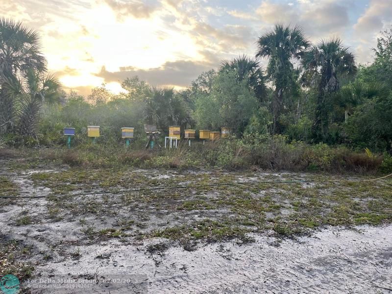 15148 NW 288th St, Okeechobee, FL 34972 Photo