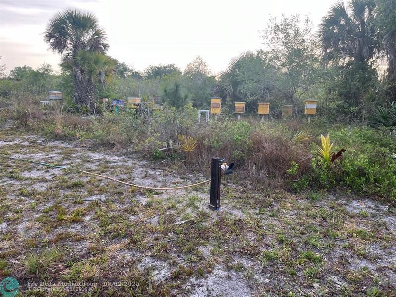 15148 NW 288th St, Okeechobee, FL 34972 Photo