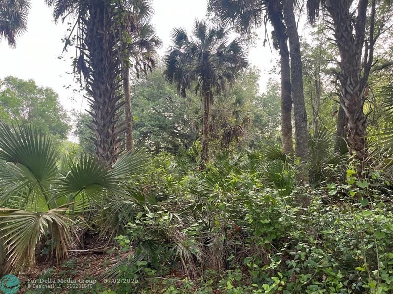 15148 NW 288th St, Okeechobee, FL 34972 Photo