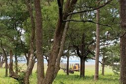 Tbd A Jacks Circle Rd. photo 4