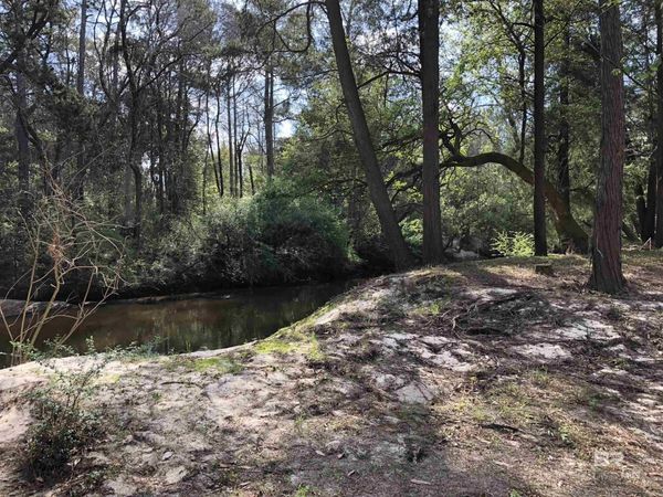 21305 River Road, Robertsdale, AL 36567