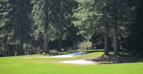 113 Lake Almanor West Drive, Chester, CA 96020 Photo