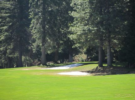 113 Lake Almanor West Drive, Chester, CA 96020 Photo